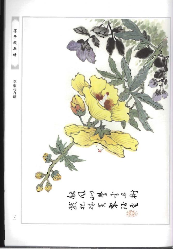 经典中国画摹本《芥子园画谱》花鸟篇：第三季